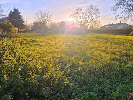 vente terrain 2571 m² martres-de-rivière (31210)