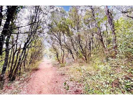 vente terrain 8074 m² monoblet (30170)