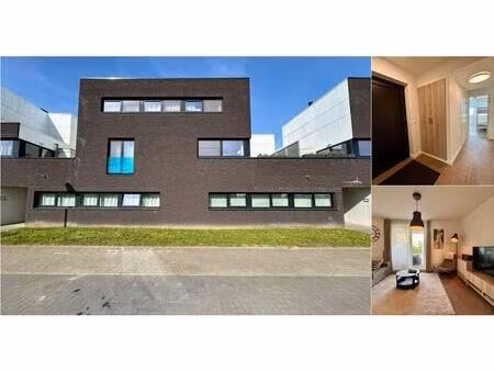 appartement à louer à maasakker 1d wijnegem (rbv74341)