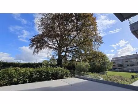 appartement te koop in avelgem met 2 slaapkamers