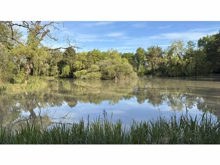 terrain de loisirs avec etang