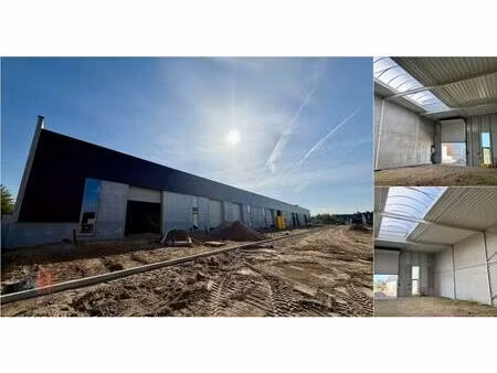 surface industrielle à vendre à stadsbeemd 1317 halen (rbv74561)