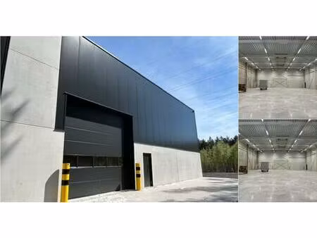 surface industrielle à louer à john cockerillstraat 54 lommel (rbv74515)