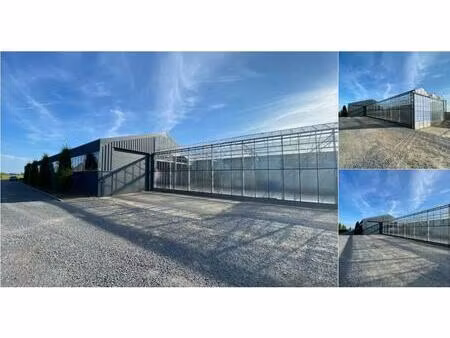 surface commerciale à louer à turkeijensteenweg 19 pittem (rbv74229)