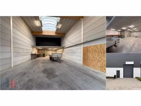 surface industrielle à louer à triphonstraat 48 zelzate (rbv74573)