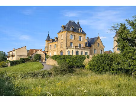 chateau à vendre à vitrac (24200) - dordogne