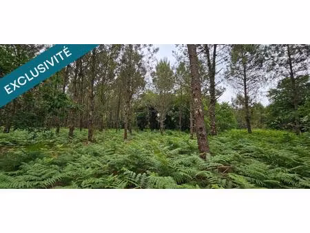 très bien situé  emplacement idéal.