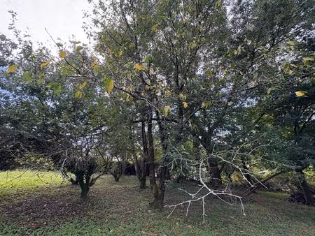 opportunité rare : 2 terrains de 750 m² et 813 m² avec permis de construire (indépendants)