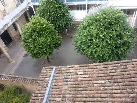 location appartement 1 pièce 18 m² à bordeaux (33000)