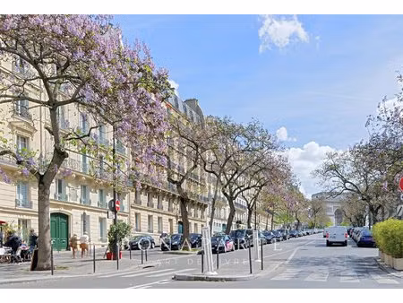 duplex - avenue carnot - ternes