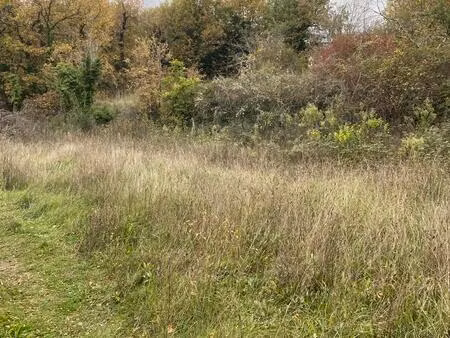 vente terrain à construire 1200 m² aups (83630)