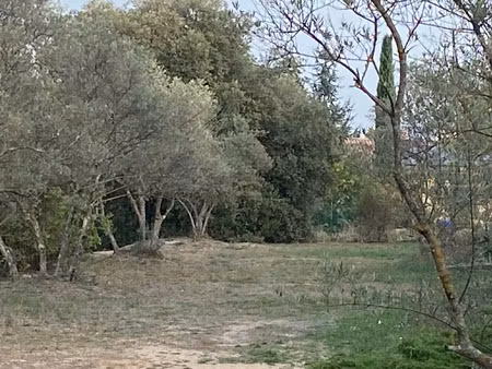 vente terrain à construire 800 m² saint-maximin-la-sainte-baume (83470)