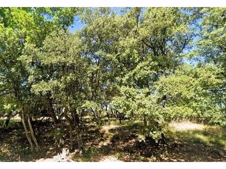 vente terrain à construire 1500 m² grignan (26230)