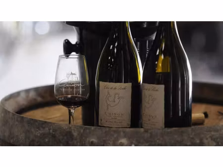 vente terrain 2900 m² chinon (37500)