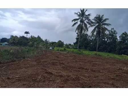 terrain lamentin m² t- à vendre  180 000 €