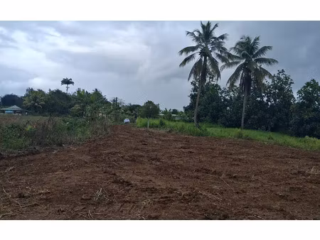 terrain lamentin m² t- à vendre  199 000 €