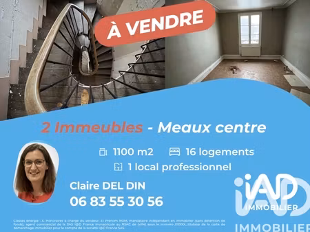 vente immeuble 950 m²