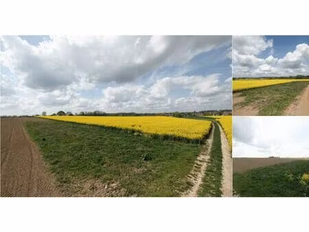 terrain agricole à vendre à doorneweg sterrebeek (rbv74255)