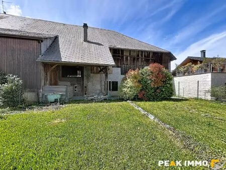 duplex entre appartement et maison de village - jardin privatif 300 m2 - doussard