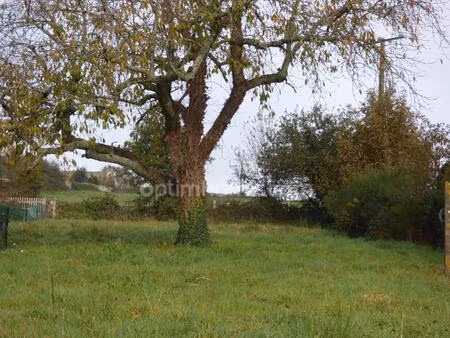 vente terrain 1238 m² fégréac (44460)