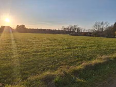 terrain de 4000m² à assesse  vue dégagée