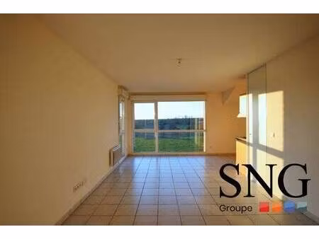 s.n.g immobilier