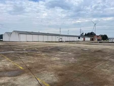 havenlaan 18 tessenderlo-ham