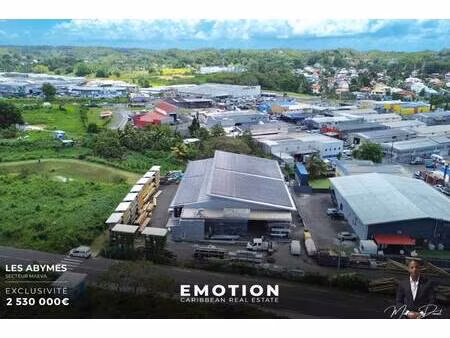 emotion real estate guadeloupe