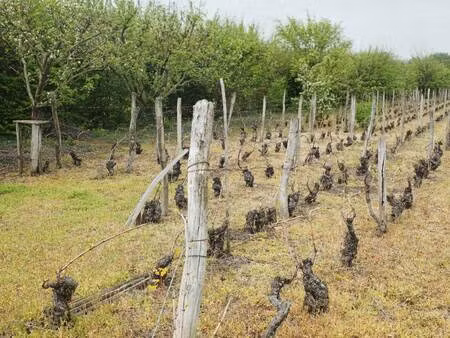 terrain constructible viabilisé à vendre