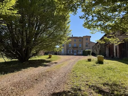 manoir à vendre à roanne