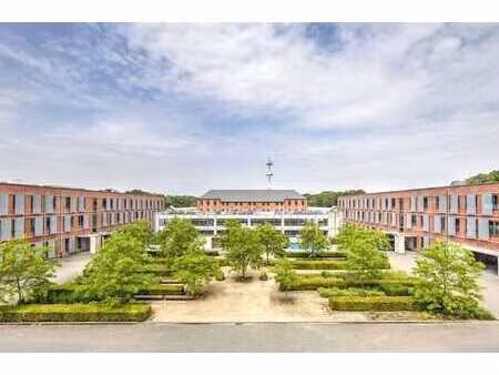 ruiterijschool 5 brasschaat