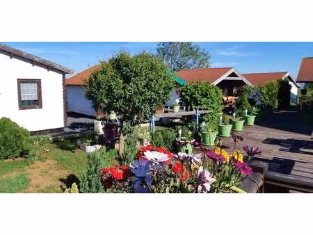 local commercial à vendre