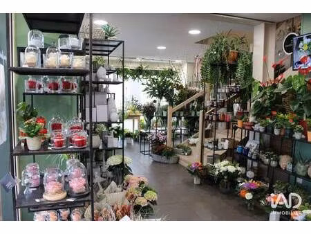 iad france nolwenn meyer