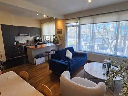 appartement une chambre avec grenier/espace de travail