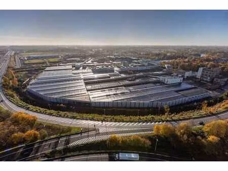 nederzwijnaarde 2 zwijnaarde