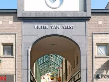 pieter van aelst - unit 16-17