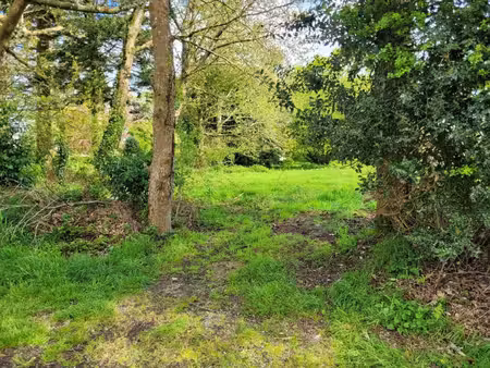 vente terrain 1000 m² radenac (56500)