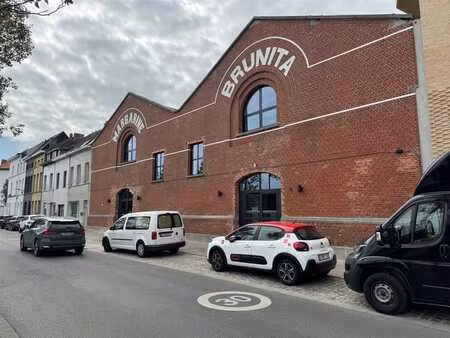 viséstraat 78 antwerpen - the bunch