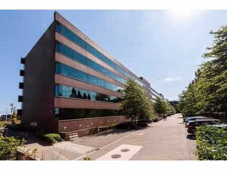 roderveld/berchemstadion - the sage