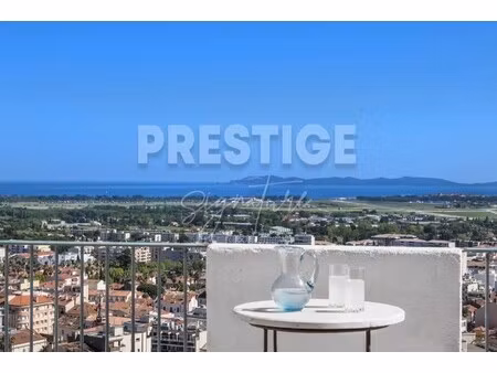 maison de luxe à vendre dans le quartier zone du roubaud