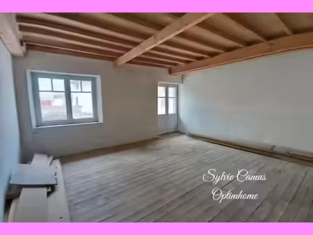 vente appartement 12 pièces 334 m² à fix-saint-geneys (43320)  60 000 €