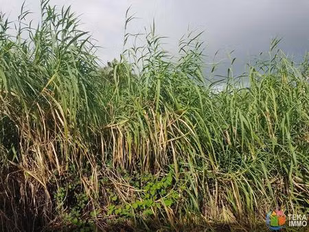 terrain plat de 498 m² – sainte-anne (secteur petit saint-pierre)