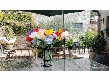 jolie maison meublée pujols sur ciron