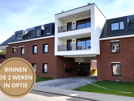 appartement à vendre à nijlen (lngx8) | zimmo