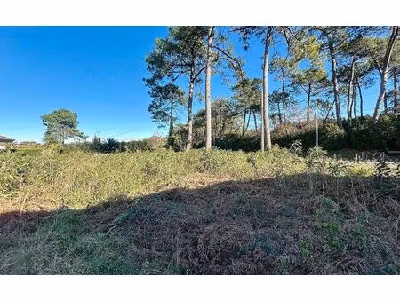 terrain anglet m² t- à vendre  998 000 €