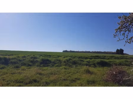 terrains à bâtir ref 100