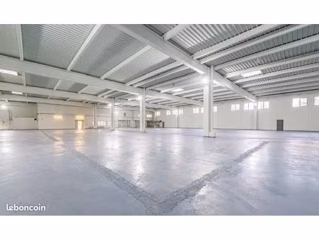 local 1550 m² louvres