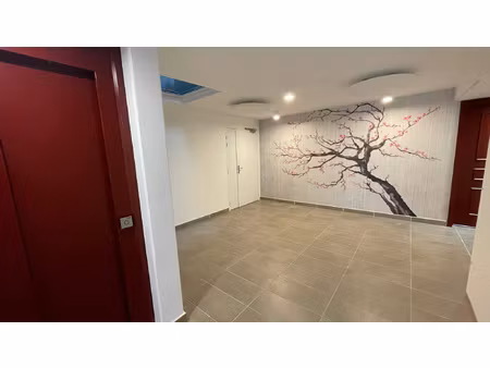 appartement t4 à céret.