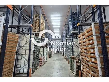 vente local d'activités 1 571 m²