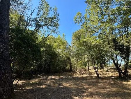 loué terrain